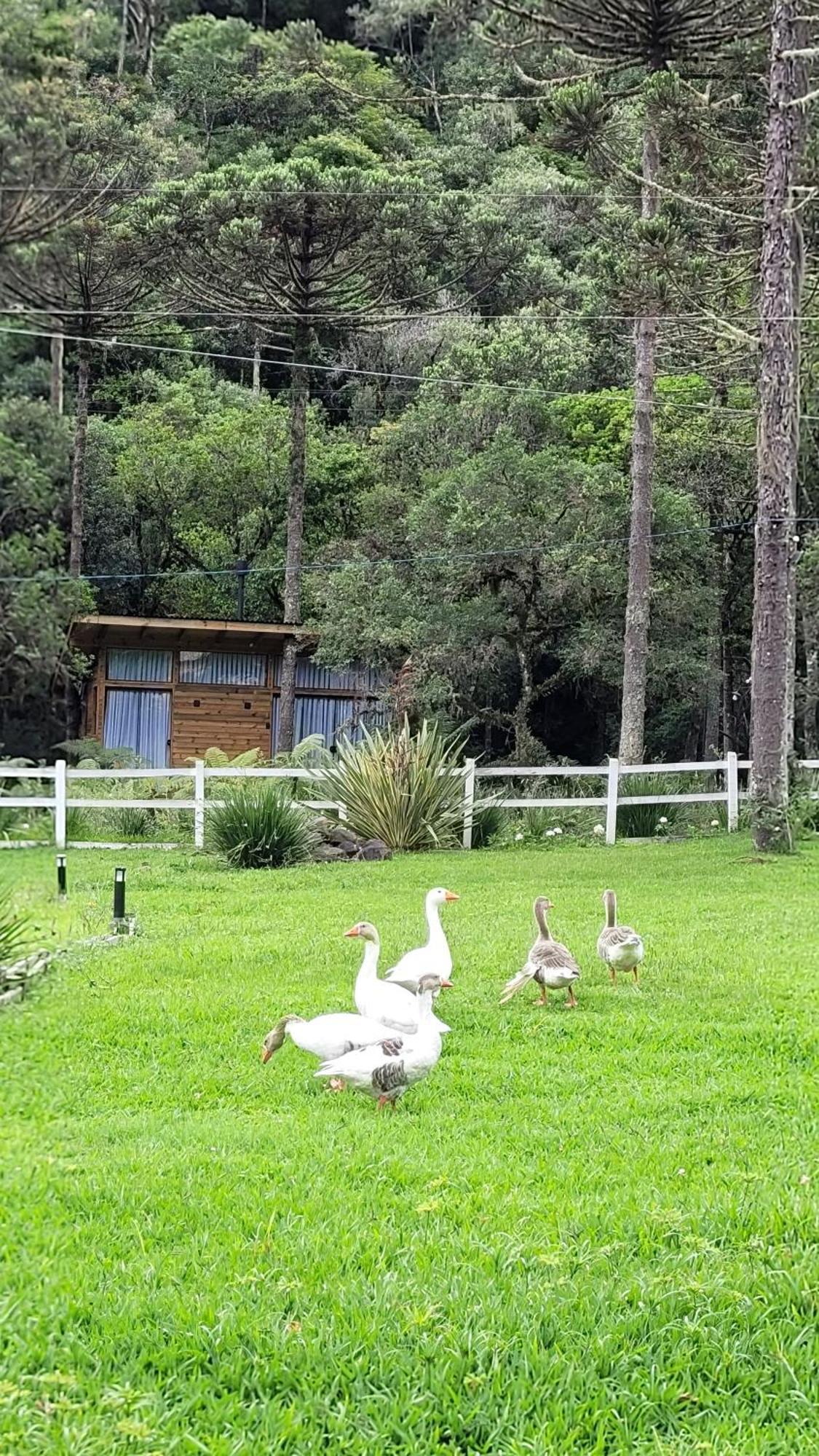 Valle Aguas