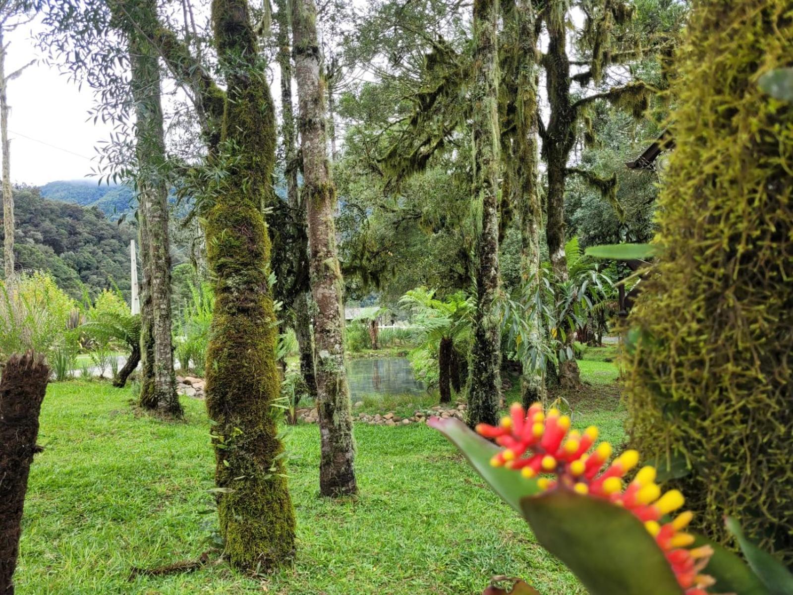 Valle Aguas Urubici
